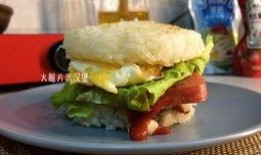 汉堡肉饼爆料视频教程全集,视频教程全集揭秘